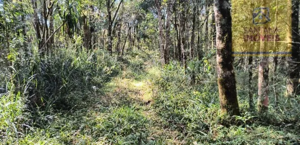 Terreno / Lote / Condomínio à venda, 240000m² no Itaqui de Cima, Campo Largo