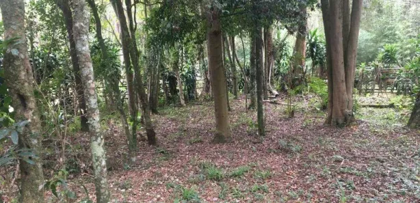 Fazenda / Sítio / Chácara com 1 Quarto à venda, 7211m² no Tatetos, São Bernardo do Campo