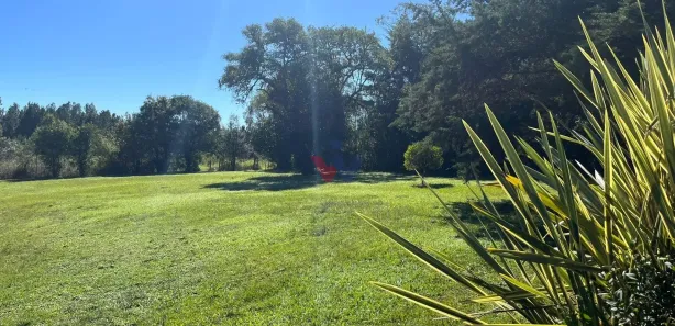 Galpão / Depósito / Armazém à venda, 156963m² no , Campina Grande do Sul