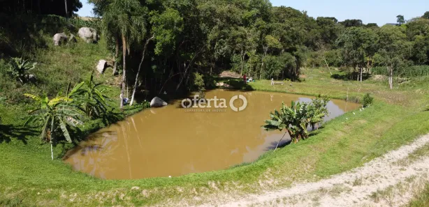 Fazenda / Sítio / Chácara com 3 Quartos à venda, 600m² no Área Rural de Araucária, Araucária