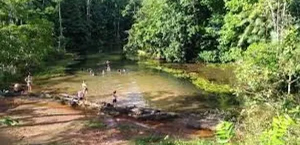 Fazenda / Sítio / Chácara com 1 Quarto à venda, 90000000m² no , Morros