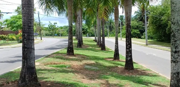 Casa de Condomínio com 3 Quartos à venda, 125m² no Alphaville (Abrantes), Camaçari
