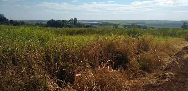 à venda, 104000m² no Jardim Nova Limeira, Limeira