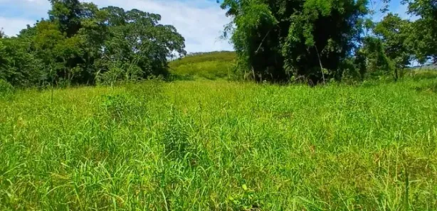 Fazenda / Sítio / Chácara com 2 Quartos à venda, 20000m² no Bazílio, Rio Bonito
