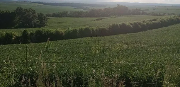Fazenda / Sítio / Chácara à venda, 193600m² no Centro, Bela Vista do Paraíso