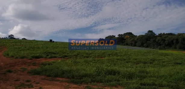 Fazenda / Sítio / Chácara com 5 Quartos à venda, 224500m² no , Piedade