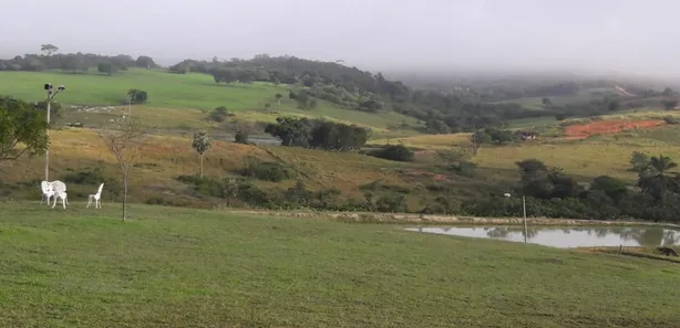 Fazenda / Sítio / Chácara com 4 Quartos à venda, 580000m² no , Brejinho