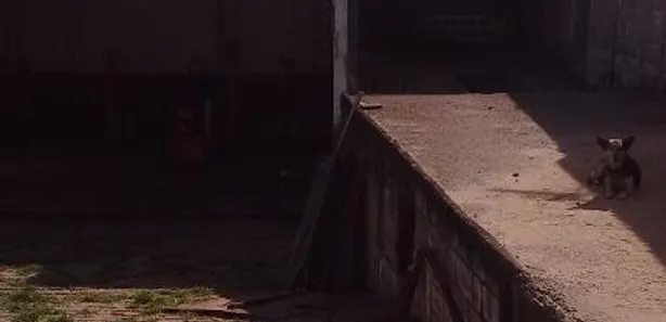 Galpão / Depósito / Armazém à venda, 250m² no Jardim Galetto, Itatiba