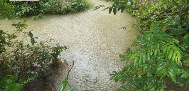 Fazenda / Sítio / Chácara com 2 Quartos à venda, 160m² no Centro, Pium