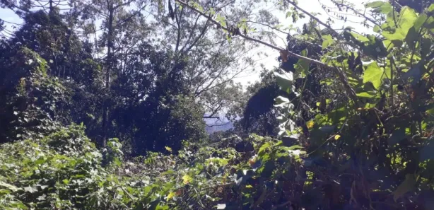 Terreno / Lote / Condomínio à venda, 33m² no Roseira, Mairiporã