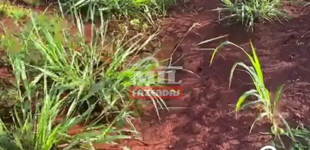 Fazenda / Sítio / Chácara à venda, 500m² no , Lagoa Santa