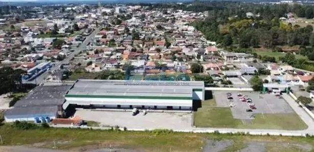 Galpão / Depósito / Armazém para alugar, 4680m² no Jardim Patricia, Quatro Barras