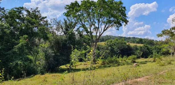 Terreno / Lote / Condomínio à venda, 20000m² no Zona Rural, Fortuna de Minas
