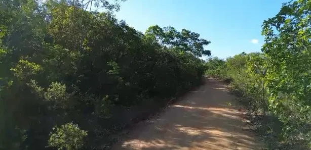 Fazenda / Sítio / Chácara à venda, 175m² no , Ponte Alta do Tocantins