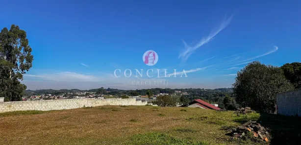 Fazenda / Sítio / Chácara à venda, 3300m² no Jardim Boa Vista, Campo Largo