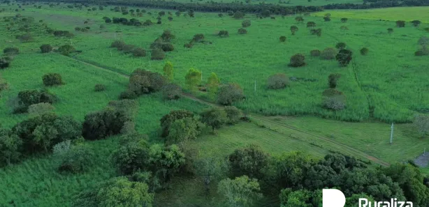 Fazenda / Sítio / Chácara à venda, 902m² no , Pium