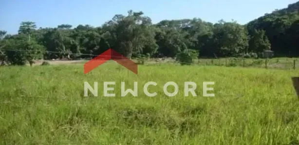 Fazenda / Sítio / Chácara com 2 Quartos à venda, 20000m² no São Roque, Mairinque