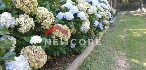 Fazenda / Sítio / Chácara com 3 Quartos à venda, 500m² no Campestre da Faxina, São José dos Pinhais