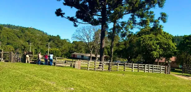 Terreno / Lote / Condomínio à venda, 1000m² no , Alumínio