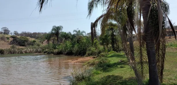 Terreno / Lote / Condomínio à venda, 1000m² no Jardim das Palmeiras, Capim Branco