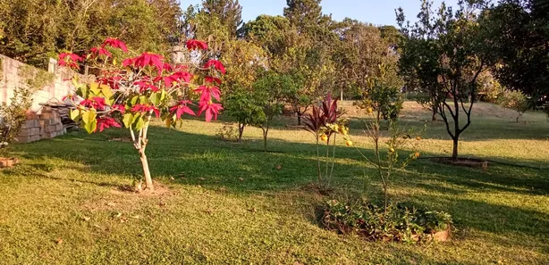 Fazenda / Sítio / Chácara com 2 Quartos à venda, 140m² no Chácara do Remanso Gl Dois, Vargem Grande Paulista