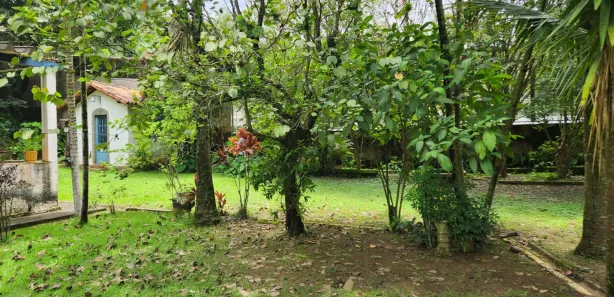 Fazenda / Sítio / Chácara com 2 Quartos à venda, 10000m² no São Judas Tadeu, Barra Mansa