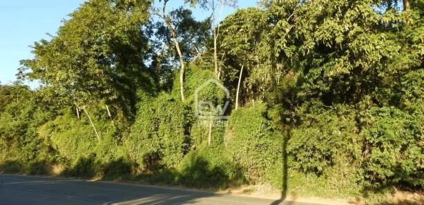 Terreno / Lote / Condomínio com 1 Quarto à venda, 26487m² no , Massaranduba