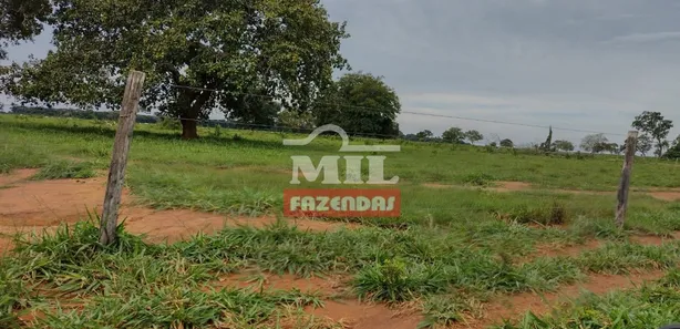 Fazenda / Sítio / Chácara à venda, 500m² no , Pium