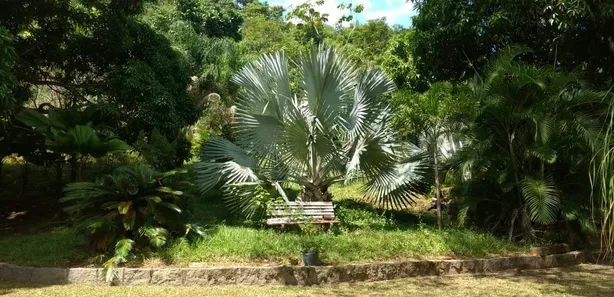 Fazenda / Sítio / Chácara com 3 Quartos à venda, 150m² no Barreira (Bacaxá), Saquarema