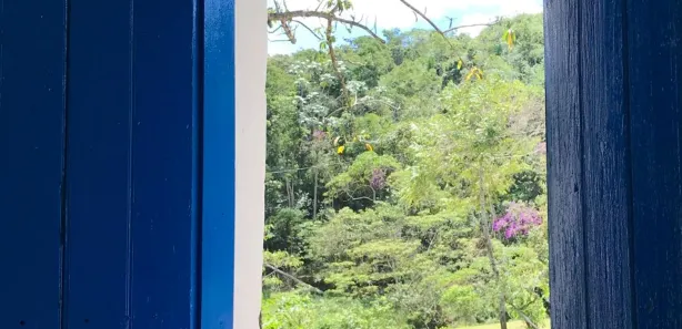 Fazenda / Sítio / Chácara com 3 Quartos à venda, 124000m² no Área Rural de Viçosa, Viçosa