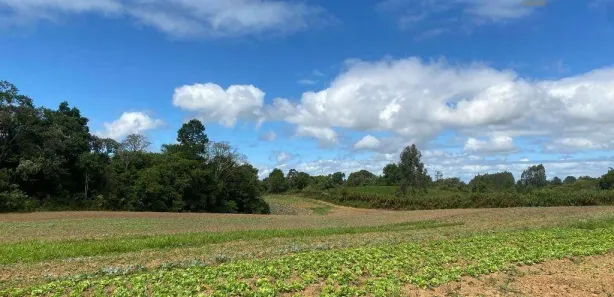 Fazenda / Sítio / Chácara à venda, 54000m² no , Tijucas do Sul