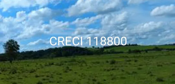 Fazenda / Sítio / Chácara com 1 Quarto à venda, 556600m² no Centro, Laranjal Paulista