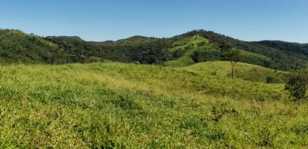 Fazenda / Sítio / Chácara com 4 Quartos à venda, 550000m² no Padre Bernardo, Padre Bernardo