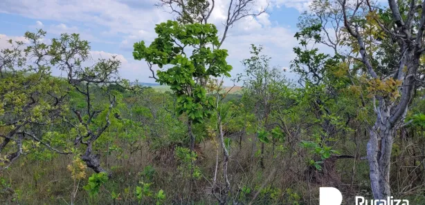 Fazenda / Sítio / Chácara à venda, 445m² no , Rio Sono