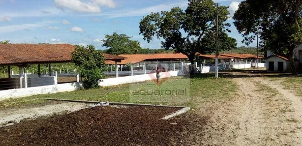 Terreno / Lote / Condomínio à venda, 230000m² no Alto da Estrela, Horizonte