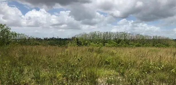 Terreno / Lote / Condomínio à venda, 60000m² no Parque de Dias Davila, Dias D'Ávila