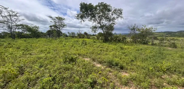 Fazenda / Sítio / Chácara à venda, 50000m² no Área Rural de Gravatá, Gravatá