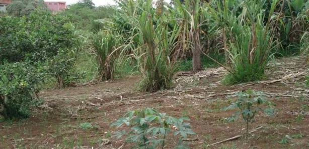 Terreno / Lote / Condomínio à venda, 26742m² no Jardim Petrópolis, Cotia