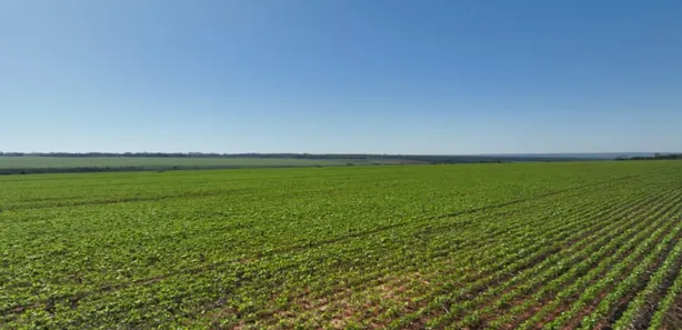 Fazenda / Sítio / Chácara com 5 Quartos à venda, 577m² no Campos do Iguaçu, Foz do Iguaçu