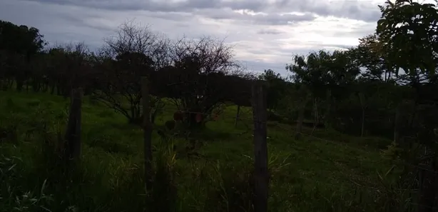 Fazenda / Sítio / Chácara à venda, 49000m² no Área Rural de Valparaíso de Goiás, Valparaíso de Goiás