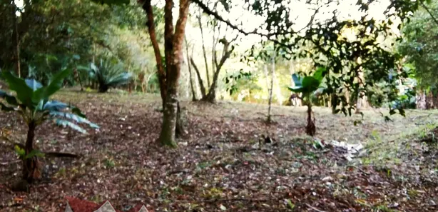 Fazenda / Sítio / Chácara com 1 Quarto à venda, 12900m² no , Antonina