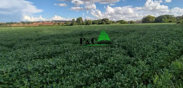 Terreno / Lote / Condomínio à venda, 45105m² no Jardim Nova Limeira, Limeira