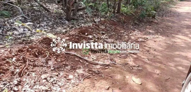 Fazenda / Sítio / Chácara à venda, 575m² no Jardim Paulista, Paraíso do Tocantins