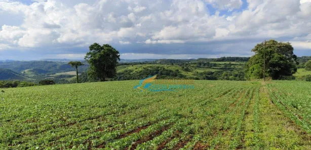 Fazenda / Sítio / Chácara à venda, 219000m² no , Catanduvas