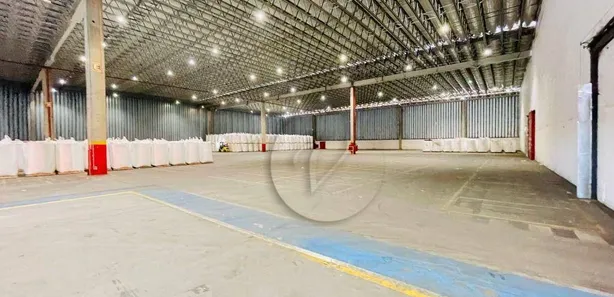Galpão / Depósito / Armazém para alugar, 6500m² no Vila Noêmia, Mauá