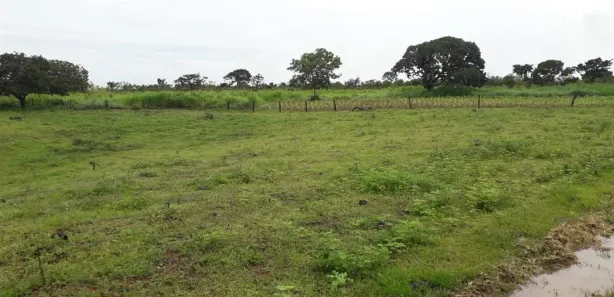 Fazenda / Sítio / Chácara com 4 Quartos à venda, 700m² no , Padre Bernardo