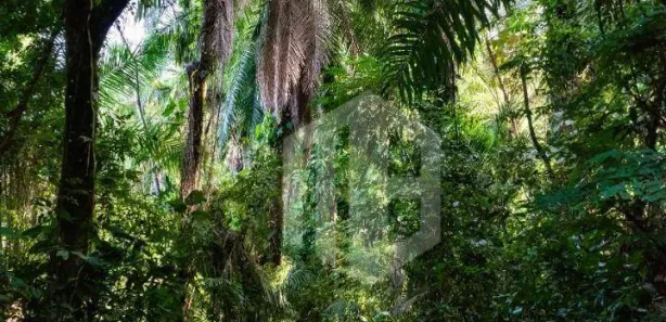 Terreno / Lote / Condomínio à venda, 3000m² no Mataripe, São Francisco do Conde