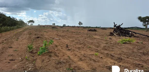 Fazenda / Sítio / Chácara à venda, 528m² no , Lagoa da Confusão