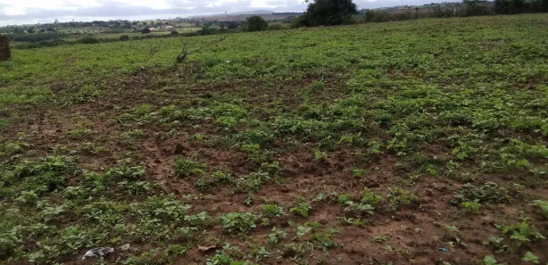 Terreno / Lote / Condomínio à venda, 220000000m² no Canaã, Arapiraca