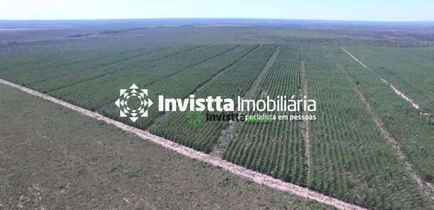 Fazenda / Sítio / Chácara à venda, 1050m² no , Rio Sono